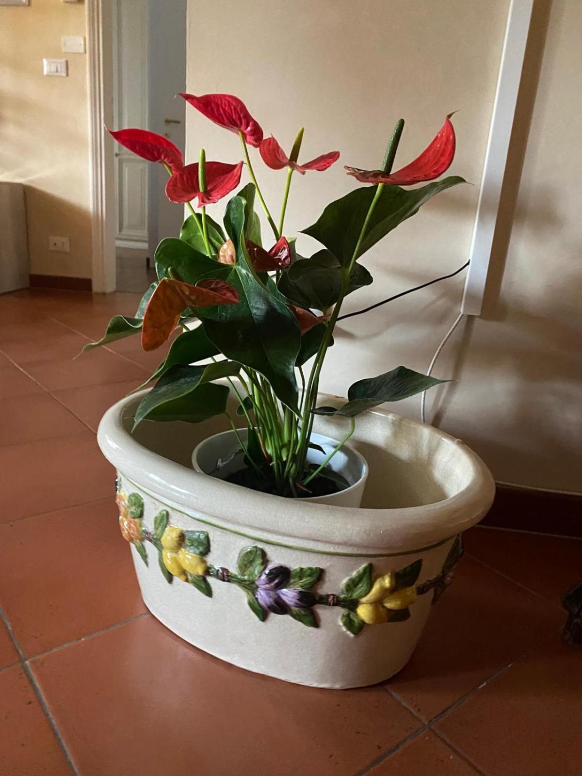 Appartamento Magnolia Mercatale Val Di Pesa Bagian luar foto